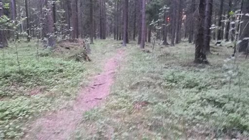 Bild uppladdad av Henrik Ortman