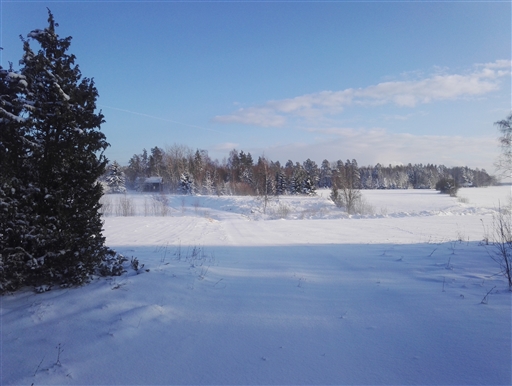 Bild uppladdad av Henrik Ortman