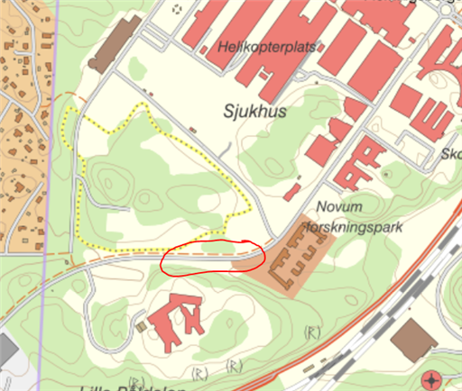 Bild uppladdad av Morgan Wallin