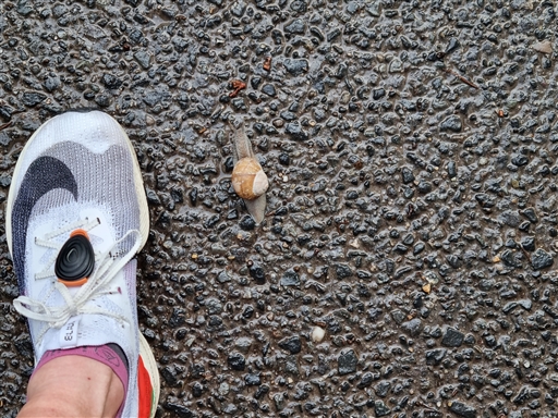 Bild uppladdad av Mathias Johansson