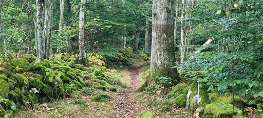 Bild uppladdad av Nicklas Nordborg