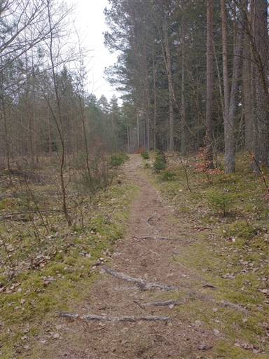 Bild uppladdad av Göran Persson