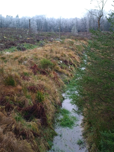 Bild uppladdad av Nicklas Nordborg