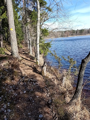 Bild uppladdad av Emil