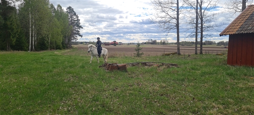 Bild uppladdad av Henrik Ortman