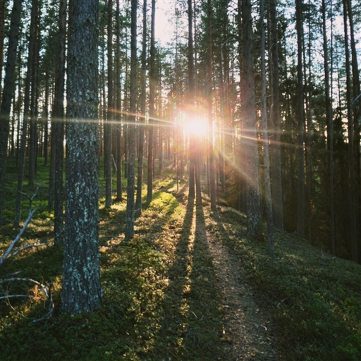 Bild uppladdad av Erik