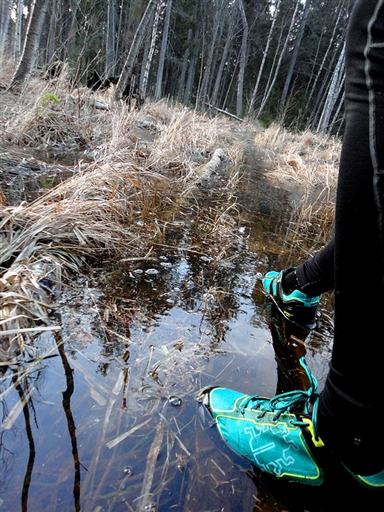 Bild uppladdad av V. Väderhatt