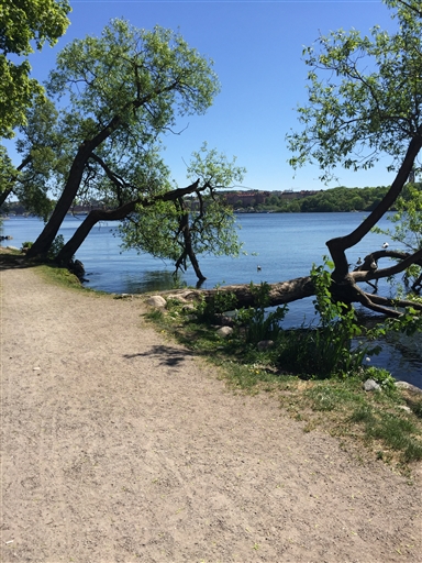 Bild uppladdad av Elias