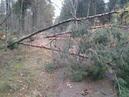 Bild uppladdad av Magnus Wallin