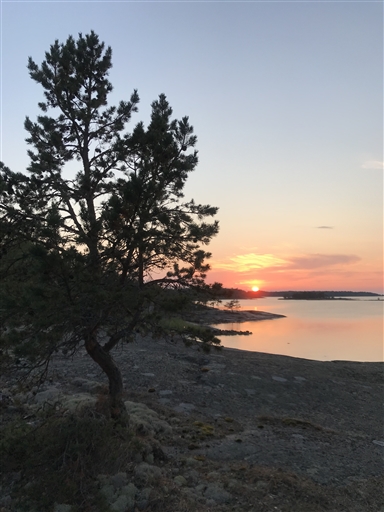 Bild uppladdad av Erik "Tricky" Fries