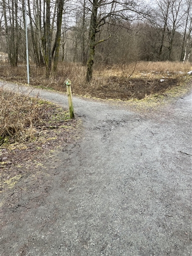 Bild uppladdad av Anonymiserad