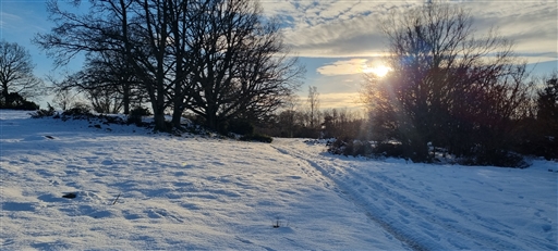 Bild uppladdad av Nicklas Nordborg