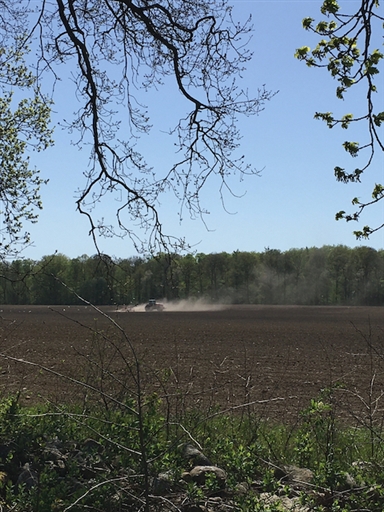 Bild uppladdad av Håkan B