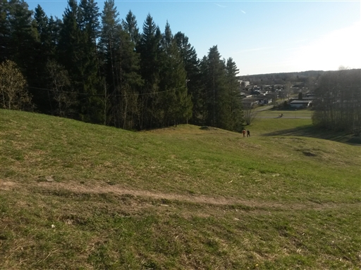 Bild uppladdad av Henrik Ortman