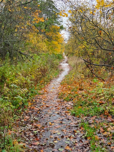 Bild uppladdad av Monica Carlsson