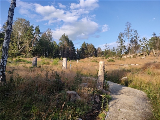 Bild uppladdad av Joakim N