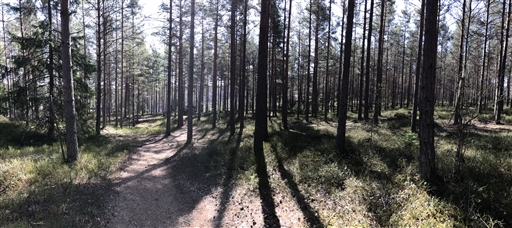 Bild uppladdad av Hobbylöparn