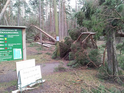 Bild uppladdad av Peter F