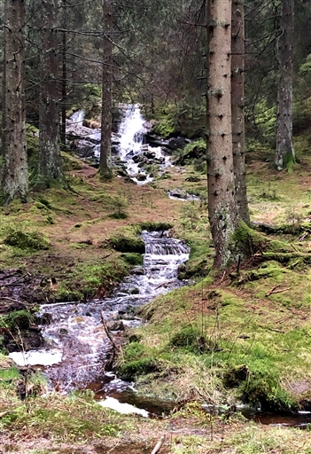 Bild uppladdad av Tony Elias