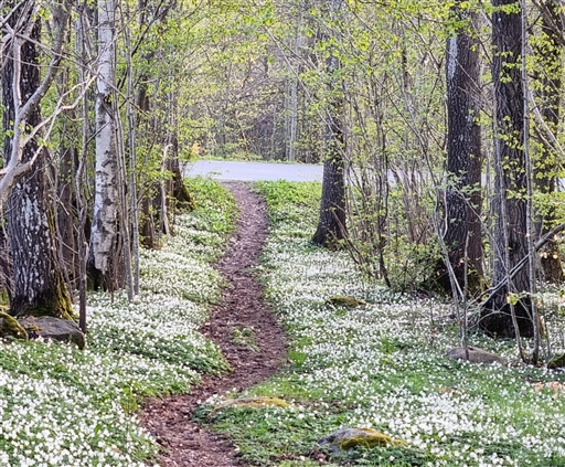 Bild uppladdad av Nicklas Nordborg