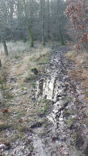 Bild uppladdad av Anders Karlsson