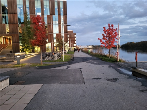 Bild uppladdad av Jörgen Högkvist