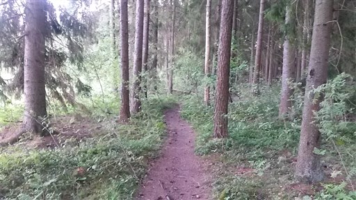 Bild uppladdad av Henrik Ortman