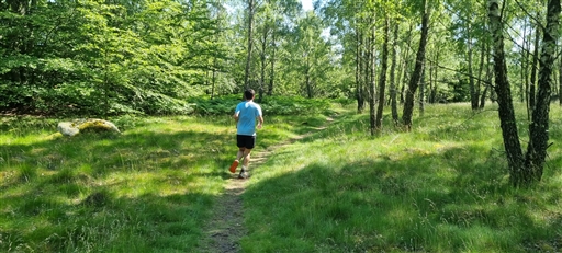 Bild uppladdad av Nicklas Nordborg