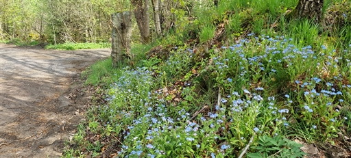 Bild uppladdad av Nicklas Nordborg