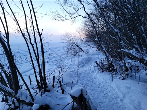 Bild uppladdad av Jörgen Högkvist