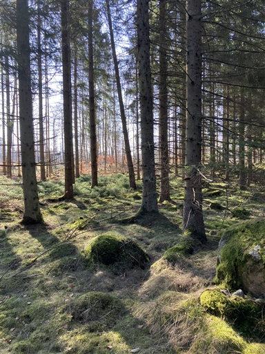 Bild uppladdad av Maria Petersson