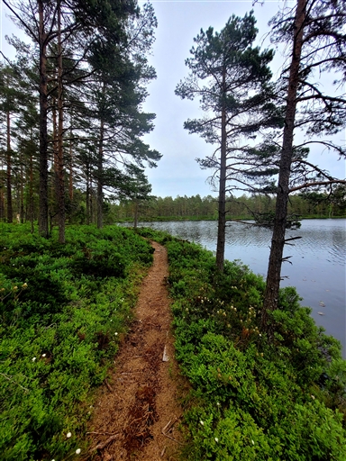 Bild uppladdad av Marcus