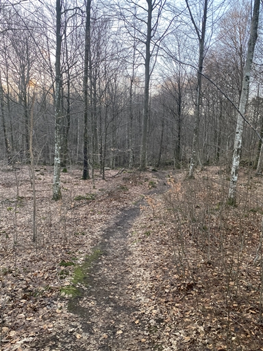 Bild uppladdad av Nette Svensson