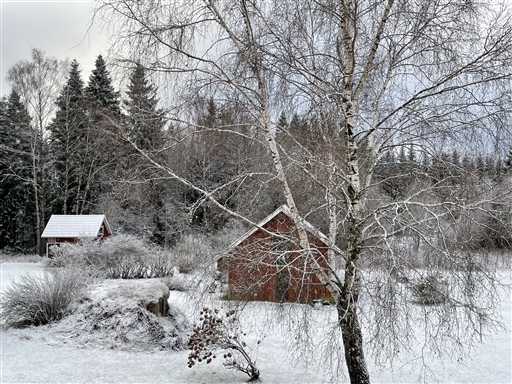 Bild uppladdad av Anonymiserad