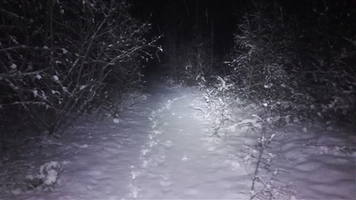 Bild uppladdad av Henrik Ortman