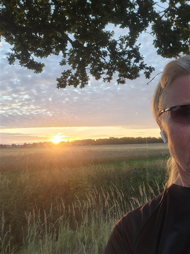 Morgontur Vibble o Wimans alle