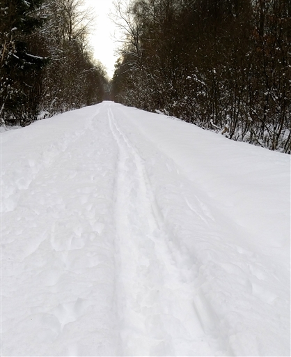 Bild uppladdad av Nicklas Nordborg