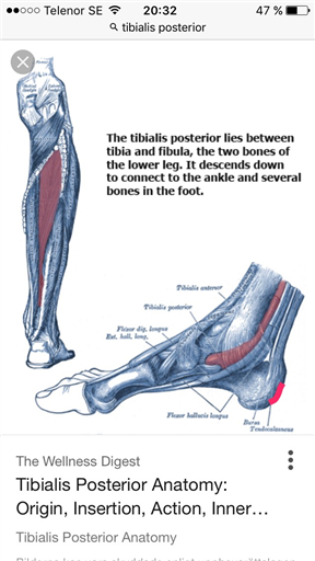 Bild uppladdad av Fredrik Lovén