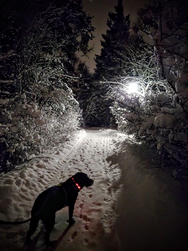 Bild uppladdad av Johan Modig