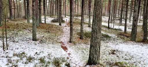 Bild uppladdad av Nicklas Nordborg