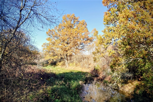 Bild uppladdad av Johan Modig