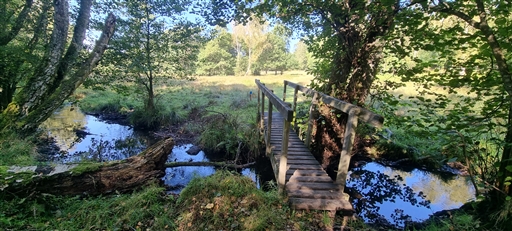 Bild uppladdad av Nicklas Nordborg