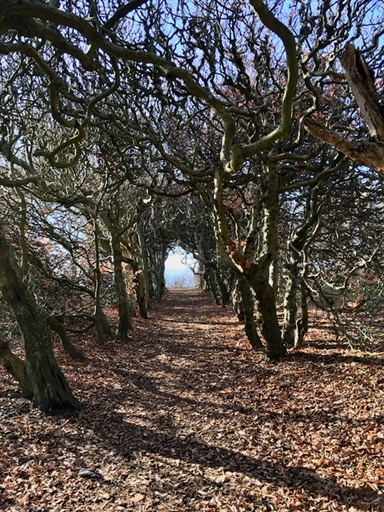 Bild uppladdad av Håkan B