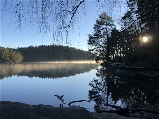 Bild uppladdad av Erik "Tricky" Fries