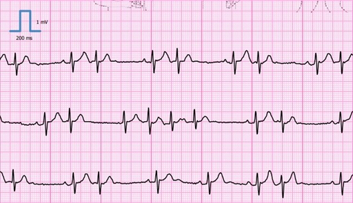 Bild uppladdad av Leif Karlsson