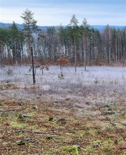 Bild uppladdad av Nicklas Nordborg