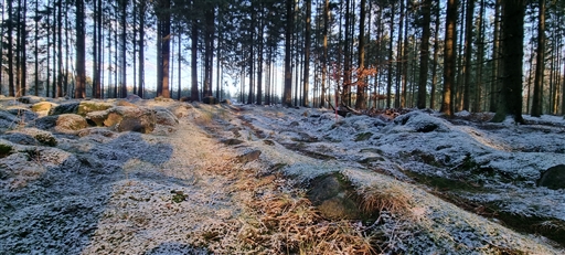 Bild uppladdad av Nicklas Nordborg