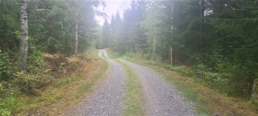 Bild uppladdad av Henrik Ortman