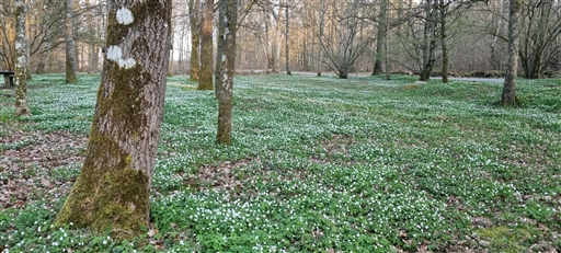 Bild uppladdad av Nicklas Nordborg