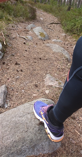 Bild uppladdad av Åsa 